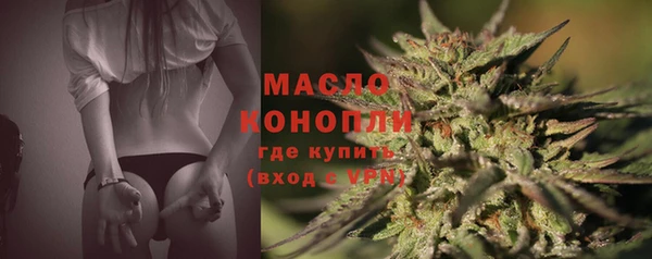 крисы Аркадак