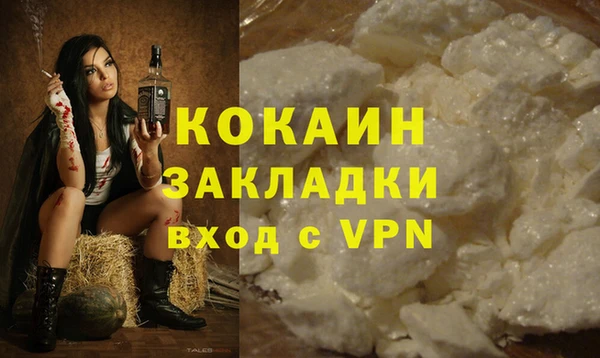 крисы Аркадак
