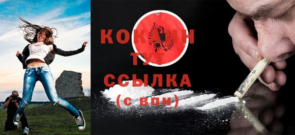 крисы Аркадак