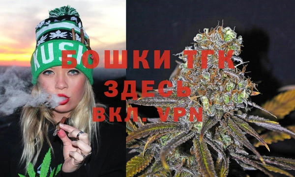 крисы Аркадак