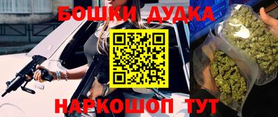 шишки Новозыбков