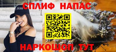 шишки Новозыбков