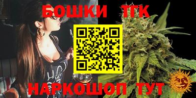 шишки Новозыбков