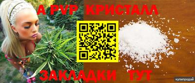 шишки Новозыбков