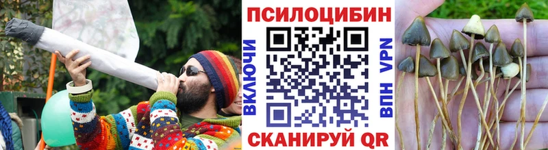 купить наркотики сайты  Волгоград  MEGA ТОР  Псилоцибиновые грибы MAGIC MUSHROOMS 